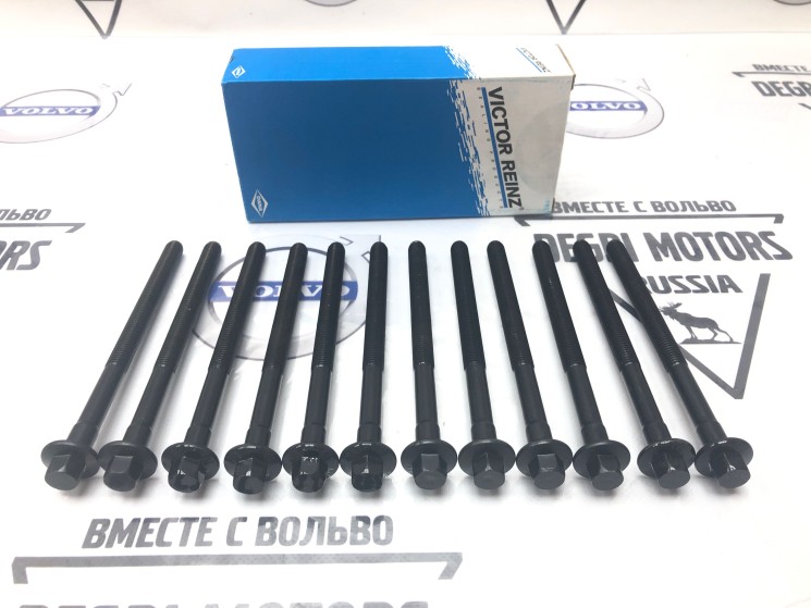 Комплект болтов 12 шт. крепления ГБЦ D5244Tхх Volvo C30, C70, S40 II, V50, S60, S80 II, S80, V70 II, XC70, V70 III, XC70 II, XC60, XC90 \\ VICTOR REINZ 14-32305-01