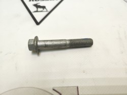 Болт рычага задней подвески \\ VOLVO Original 999258 