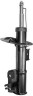 306168595w.jpg