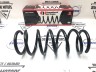 Пружина задней подвески Volvo XC60, XC70 II \\ STANDARD SPRINGS ST135053R